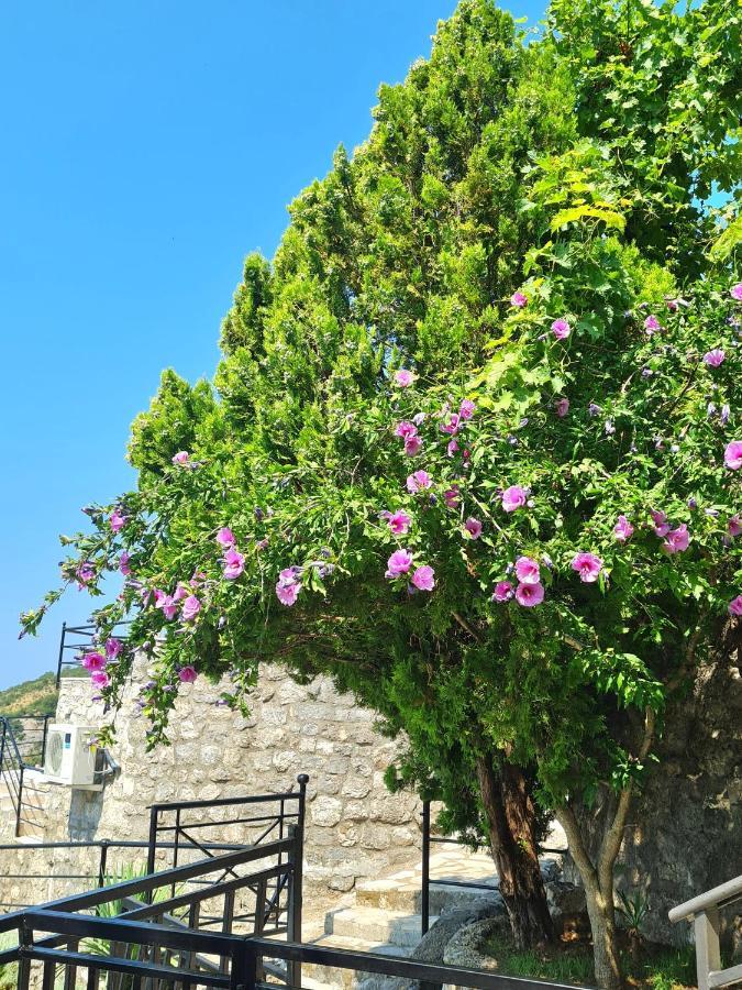 Villa Nera Budva Exterior photo
